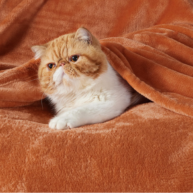 Couverture polaire Cozy Winter Collection 300GSM pour canapé, canapé, lit, Orange brûlé, L 50 po x L 70 po