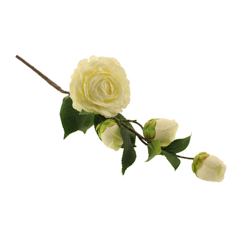Camellia Arrangement