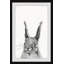 «Gray Rabbit», reproduction d'art encadrée sur papier-26825077