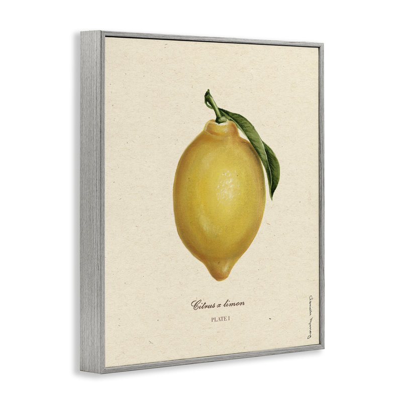 «Lemon Fruit Portrait», estampe numérique, design par Danielle Murray, H 20 po x l 16 po, Estampe numérique Farmhouse