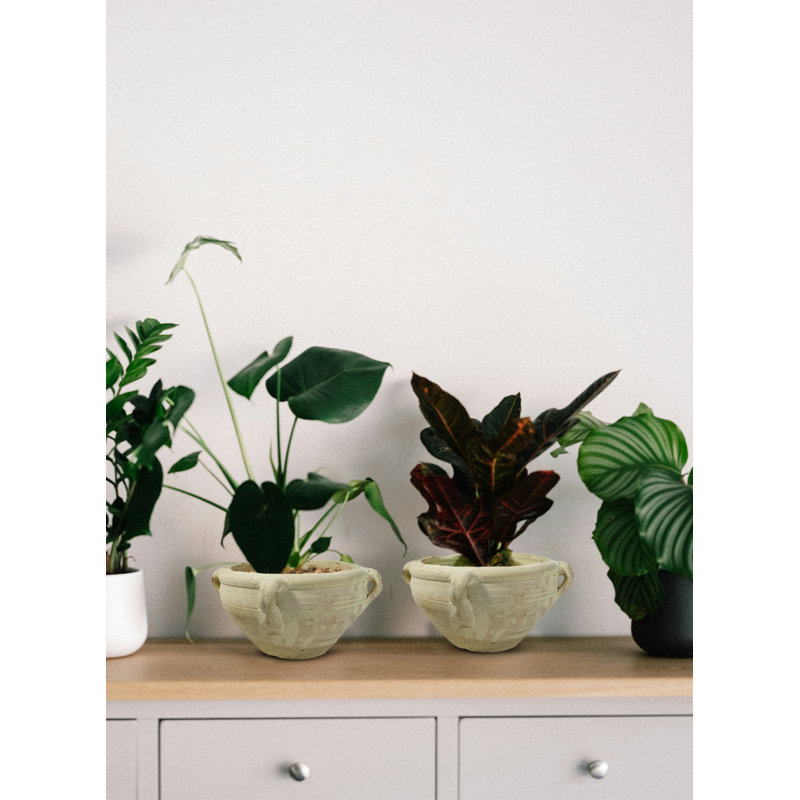 Jahkobi Pot Planter