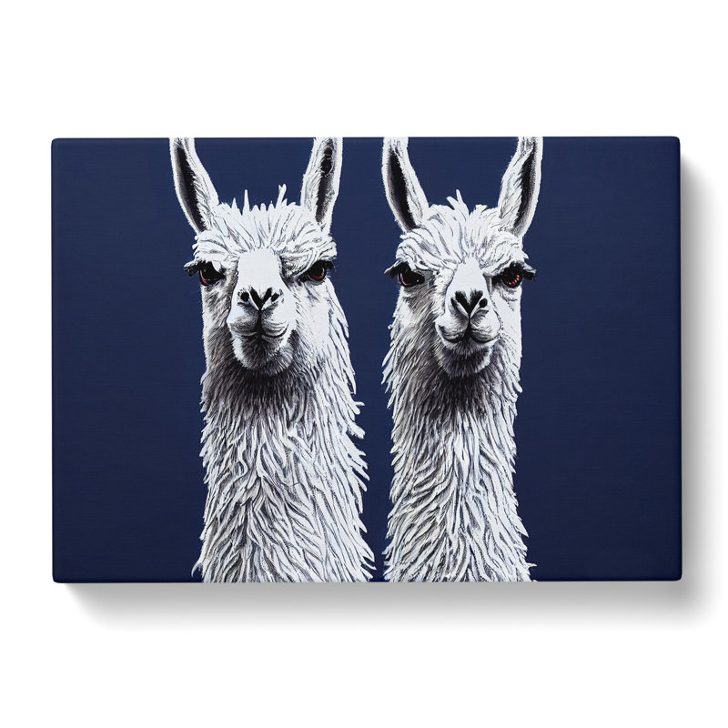 The Two Llamas Vol.2 - Wrapped Canvas, 50cm H x 76cm W x 3cm D