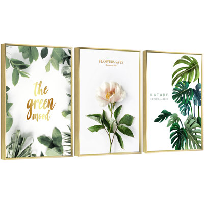 " Plants " 3 - Pieces