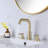 Widespread 2-handle Bathroom Faucet