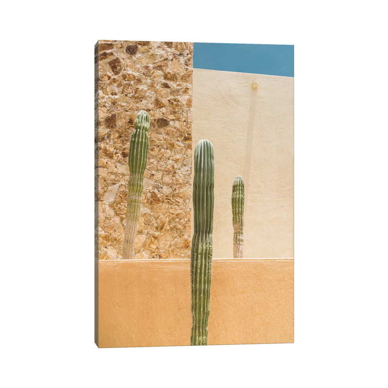 Abstract Cactus by Bethany Young - Print on Canvas, Wrapped Canvas, 101.6cm H x 66.04cm W x 3.81cm D
