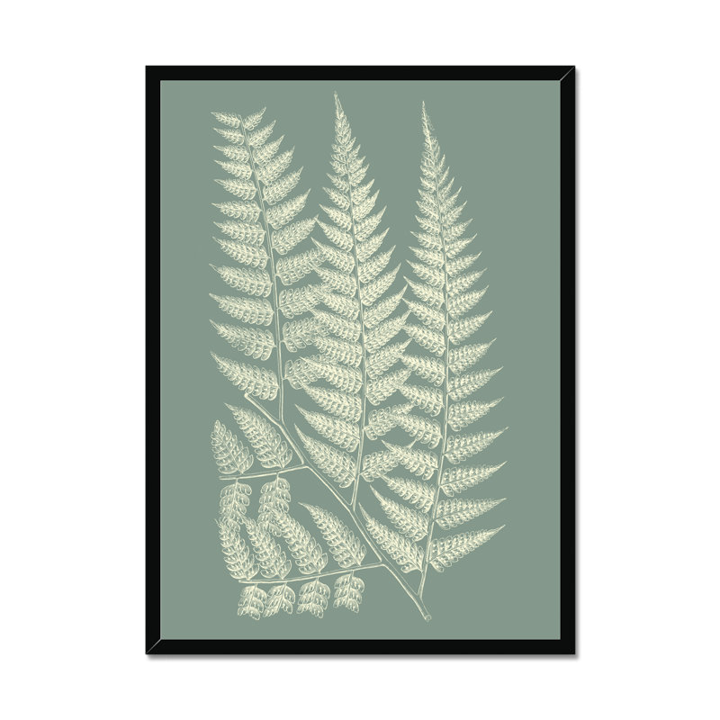 Ferns On Sage III by Vision Studio - Painting on Canvas, 34cm H x 24cm W, Black Framed Paper Print