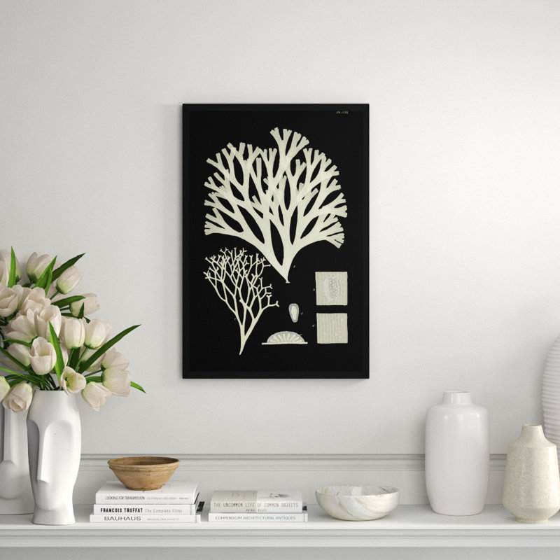 Seaweed Diagram I Giclee Print by Soicher Marin Archives