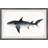 Sandie 'Big Shark' Framed Print-301194975
