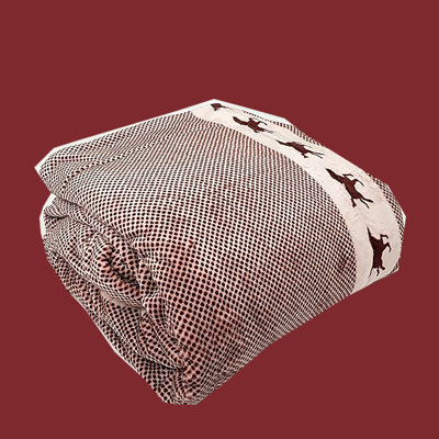 Plain Weave / Muslin Blanket
