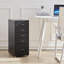 Eulus 28cm Wide 5 -Drawer File Cabinet-780381035