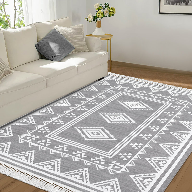 4x6 Area Rug, Machine Washable Tassel Rugs for Living Room, Indoor Non-Slip Front Door Mat, Stain Resistant Floor Cover Carpet, Bordered Tribal Accent Rug, Grey Rug for Dining Room