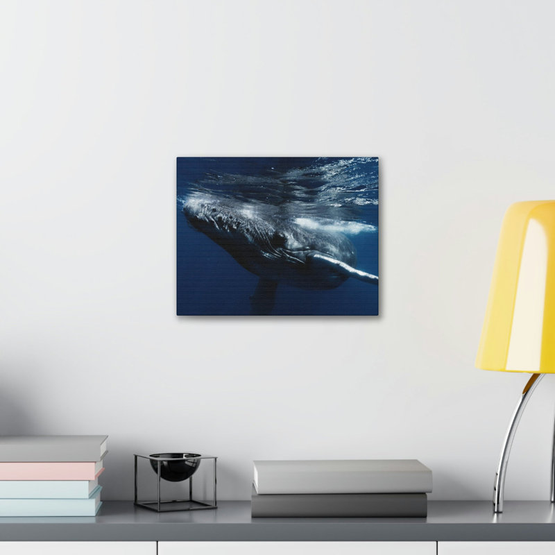 No Frame Print on Canvas, 27.94cm H x 35.56cm W