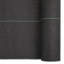 Vidaxl Weed Membrane Black 2X150 M PP-118029600