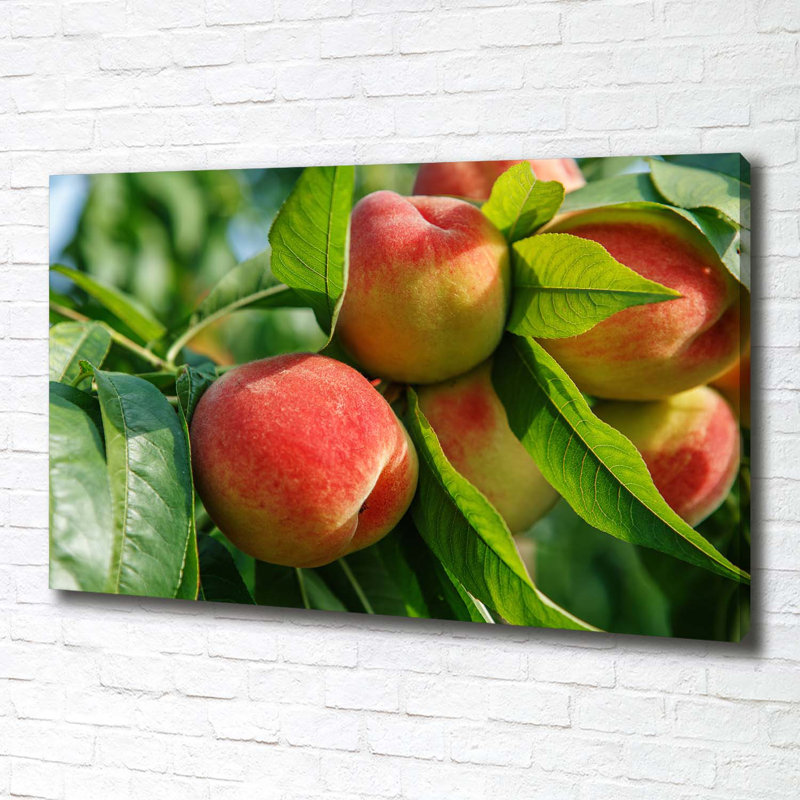Peaches - Wrapped Canvas Print