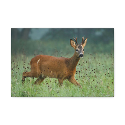 No Frame Print on Canvas