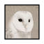 « plumed ii », impression sur toile-31294713-73216547-73216548