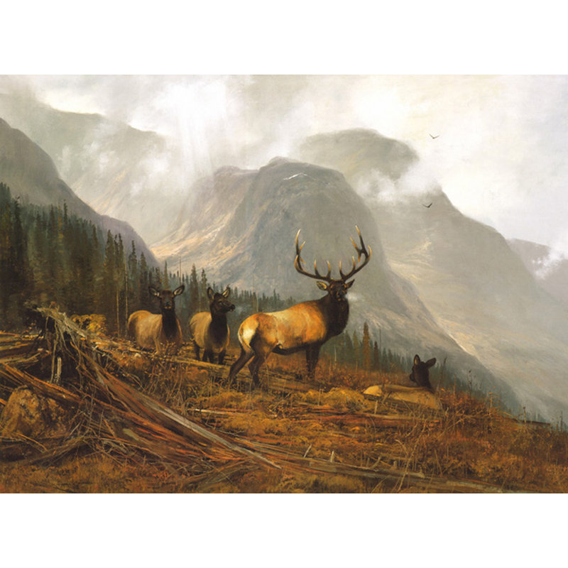 Bookcliffs Elk I, H 18 po x l 24 po