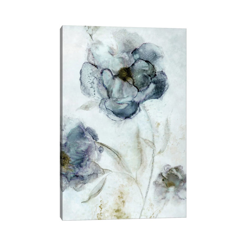 Morning Peony by Carol Robinson - Print on Canvas, 30.48 cm H x 45.72 cm W, Wrapped Canvas