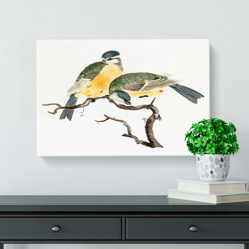 Great Tit Birds by Johan Teyler - Wrapped Canvas, 35cm H x 50cm W x 3cm D