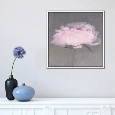 Jolie 1 Piece Wall Art on Canvas