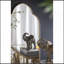 Miroir mural 22,4X1x48 po