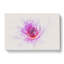 Water Lily - Wrapped Canvas-56667905
