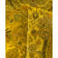 Overdyed Hand-Knotted Wool Modern-Contemporary Yellow Runner 2' 7" x 18' 4"