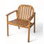 Dining Chair With Cushion Set of 2