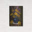 «Black Eyed Susans» par Christopher Pierce-1431083533
