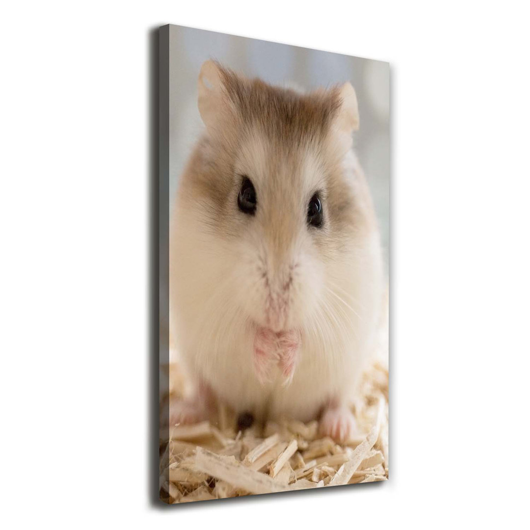 Hamster - Kunstdruck auf Leinwand - Wrapped Canvas