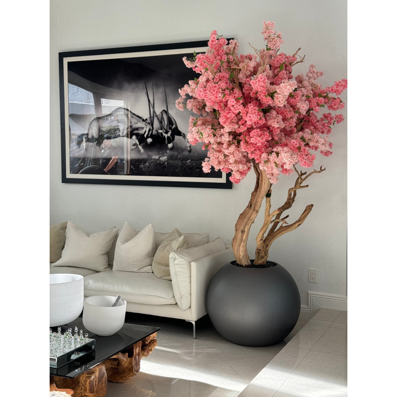 Pink Cherry Blossom Tree In 30" Globe Planter, White