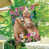 Brown/Pink Spring is out of stock