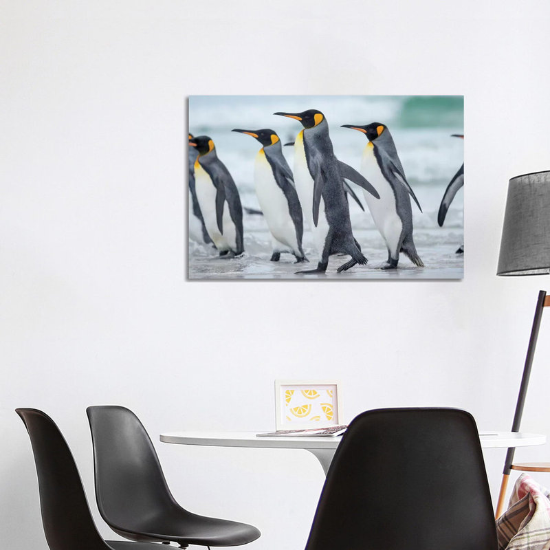 King Penguin, Falkland Islands. by Martin Zwick - Wrapped Canvas Print, 101.6 cm H x 66.04 cm W x 1.91 cm D