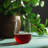 Plastic Stemless Wine Cups (set of 24)