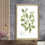 Herbe et basilic - Peinture-715697514-715697506