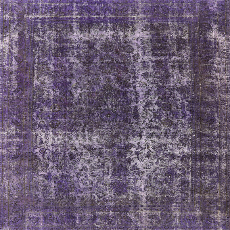 Hubbert Oriental Indoor Rug, Square 6'