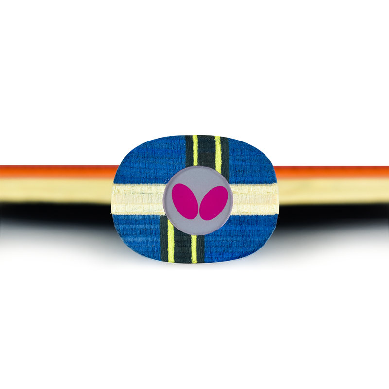 Raquette 1000 bty-cs