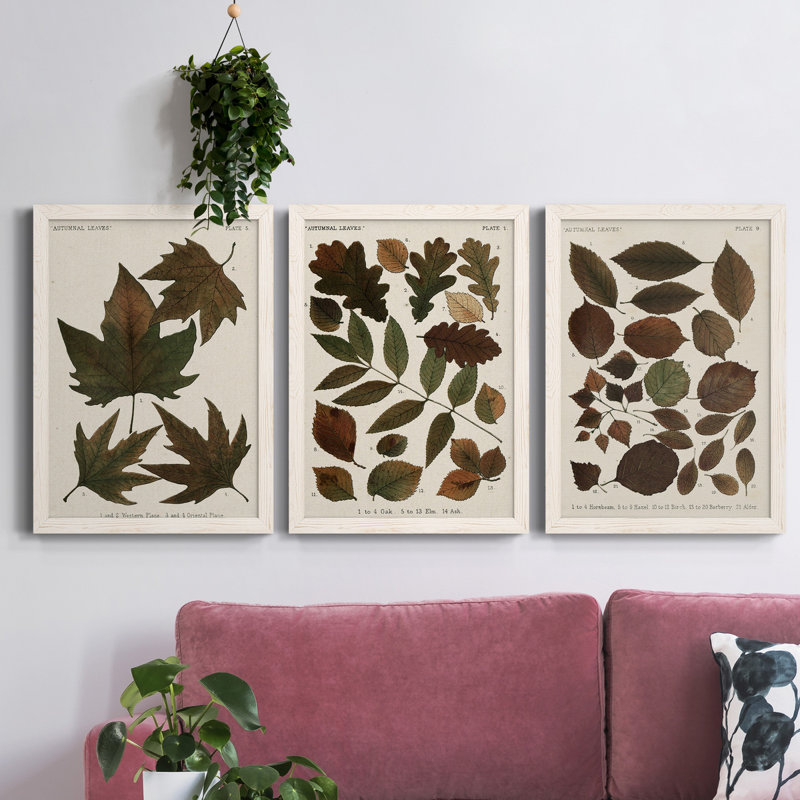 Feuilles d'automne IV - ensemble de 3 reproductions d'art sur toile, H 43,5 po x l 31,5 po x P 1 po, Blanc