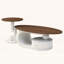 Ensemble de 2 tables basses gigognes-117204450-117204451