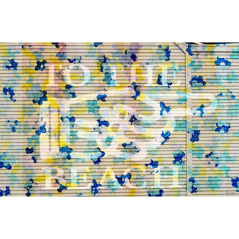 Parvez Taj - Wrapped Canvas Print, 51cm H x 76cm W