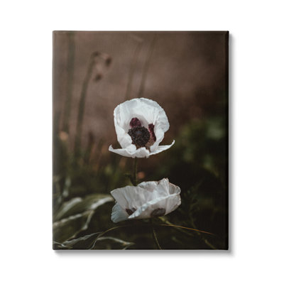 Lonely White Flower Blossom Forest par Incado - photographie