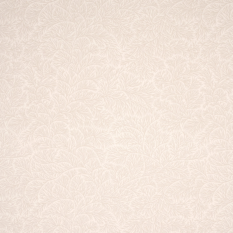 Schumacher x Mark D. Sikes Bougainvillea Wallpaper, Neutral