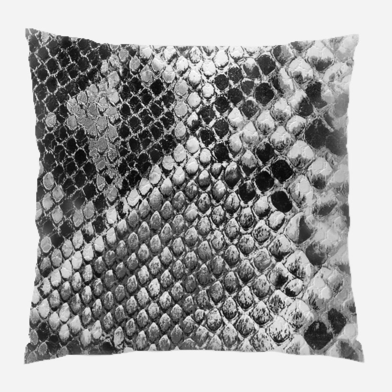 Coussin Backdrop, Intérieur