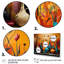«Orange Boho Pottery Expressions I», art sur toile Boho Pottery-1881781575-1881781589