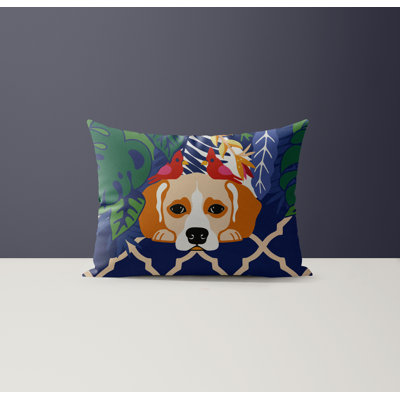 Oly Microsuede Lumbar Throw Pillow