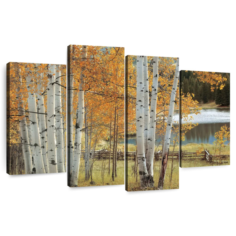 Alvord Birch Beauty, 42" H x 68" W