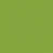 Canvas - Macaw