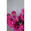 Fuchsia Bougainvillea Branch 44"