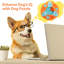 Jouets interactifs pour animaux Pet Pet-117330099