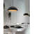 Noir carbone mat / or champagne